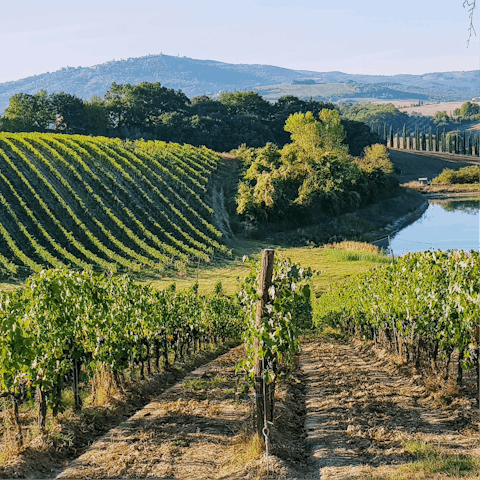 Sample Chianti’s finest vintages, straight from the source