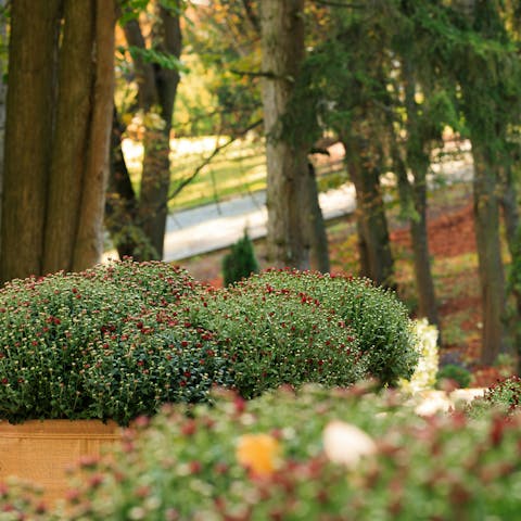 Stroll to the Botanic Gardens, twenty minutes away