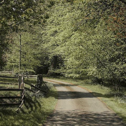 Discover the calming countryside of Northumbria