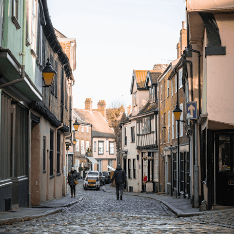 Spend the day on the cobbled lanes of Norwich city centre, minutes away