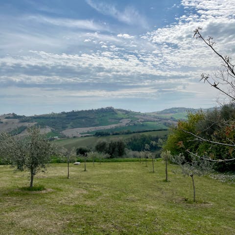 Soak up the sunshine and dine alfresco on over fourteen acres of land