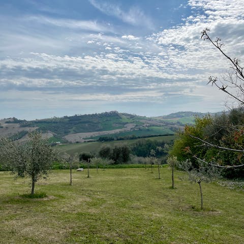 Soak up the sunshine and dine alfresco on over fourteen acres of land