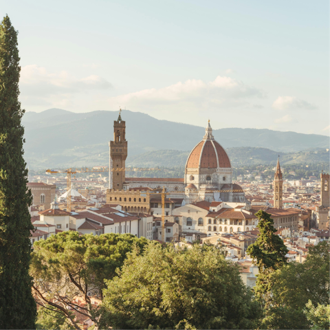 Spend the day in Florence, a thirty-minute drive away