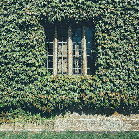 Visit Barrington Court, a five-minute walk away