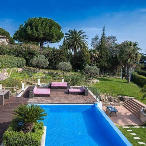 Lounge by the pool amidst the olive trees, pines, and cypresses,