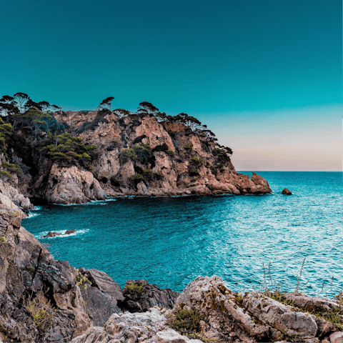 Take the short drive to the coast and enjoy Marbella's beaches