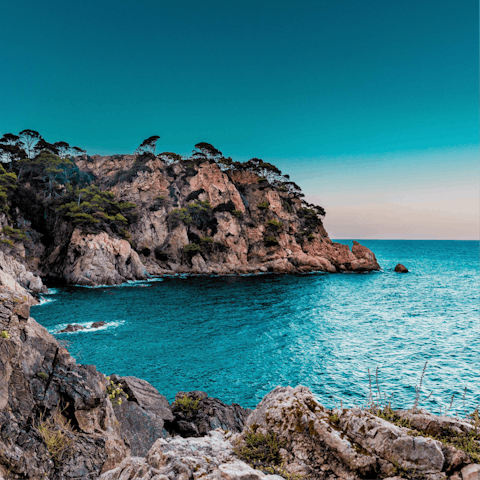 Take the short drive to the coast and enjoy Marbella's beaches