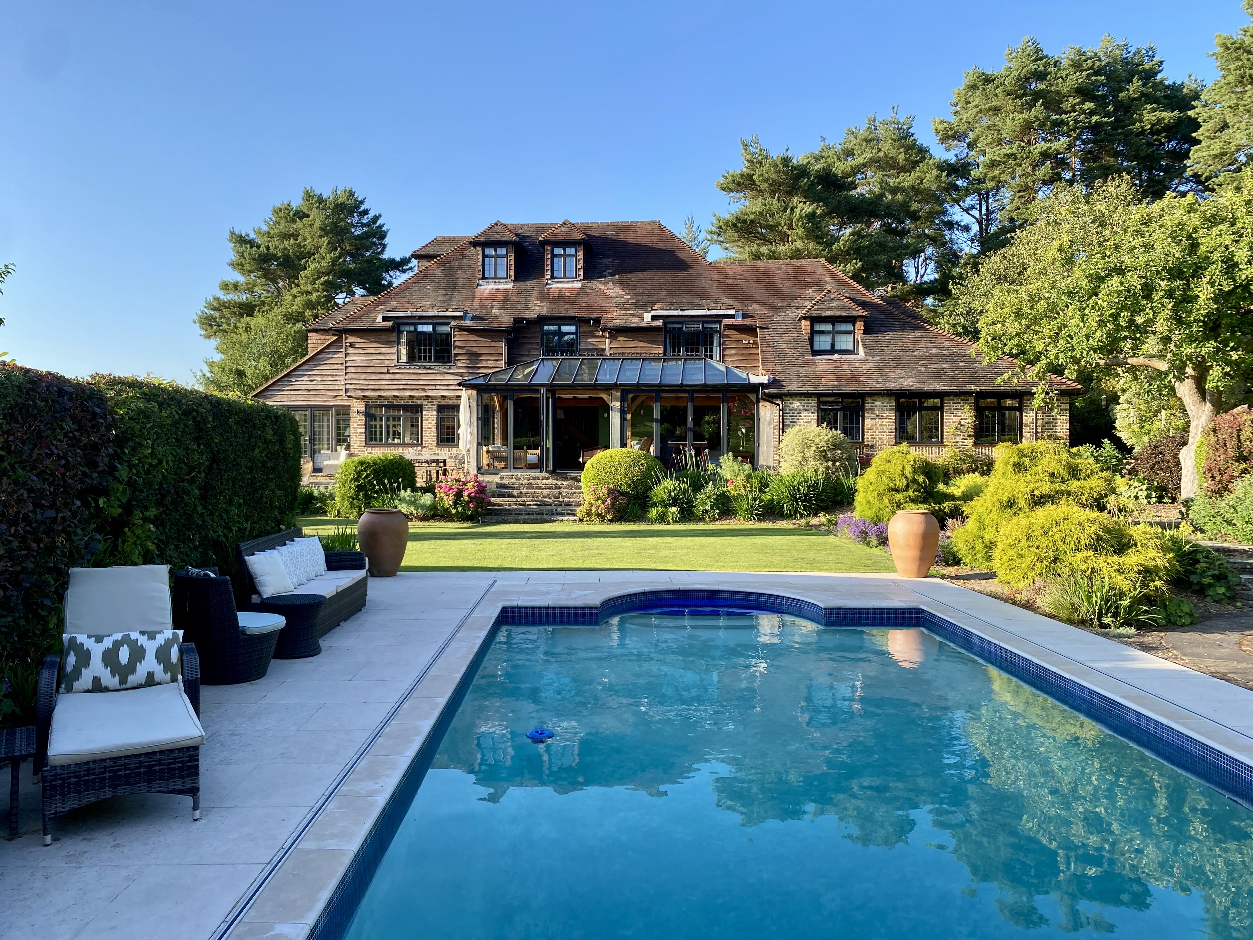 Antlers In The Forest