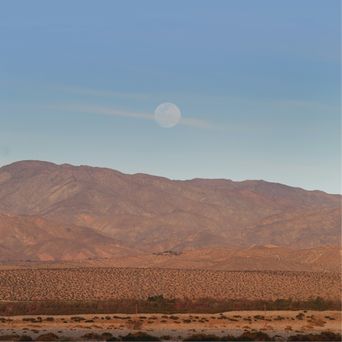 Hike through the nearby desert mountains and get a spectacular view of Palm Springs
