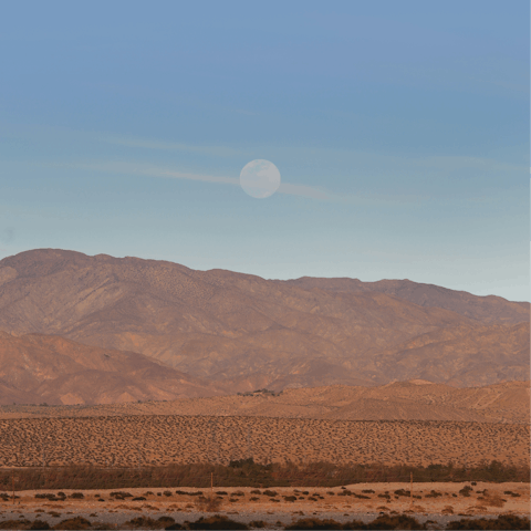 Hike through the nearby desert mountains and get a spectacular view of Palm Springs