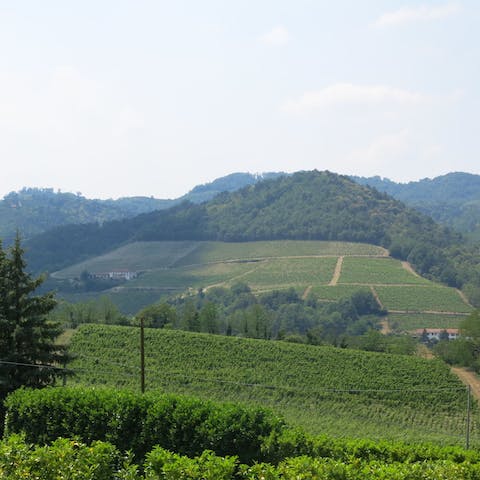 Head out and explore the verdant Piedmont countryside that surrounds the home