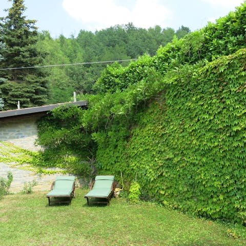Bring out a book and find a shady spot in the garden to read