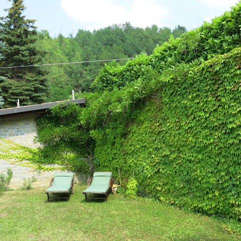 Bring out a book and find a shady spot in the garden to read