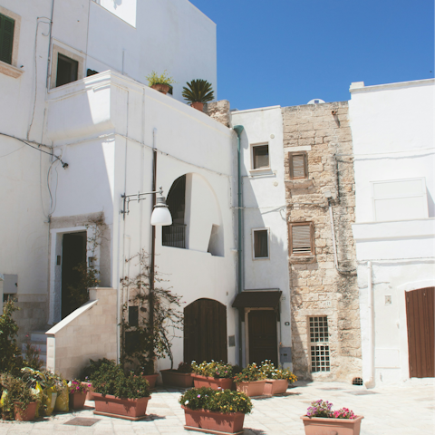 Wander through the white-washed streets of Altamura