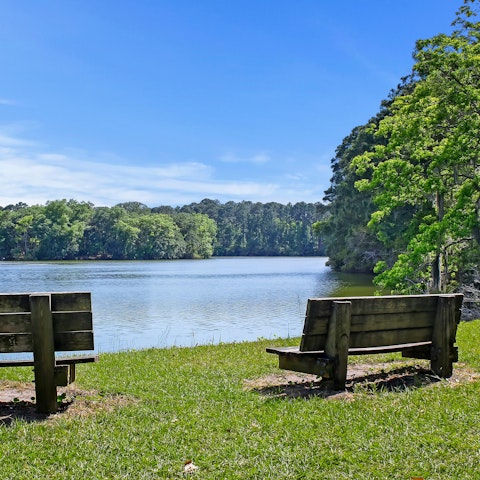 Experience the beauty of Hilton Head Island from Calibogue Sound