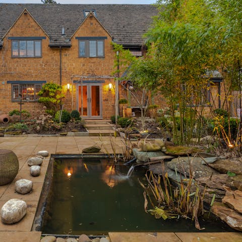 See if you can spot the Japanese Koi Fish in the pond