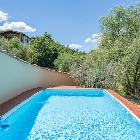 Take a dip in the glistening pool surrounded by the lush greenery of the garden