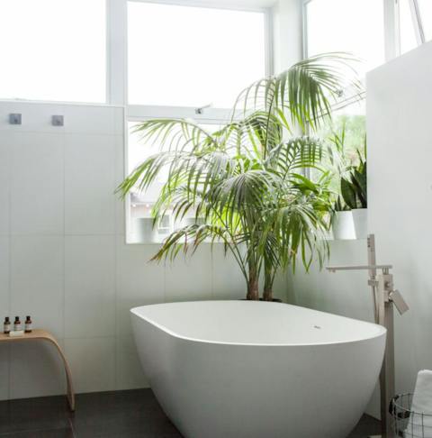 Beautiful foliage around the free-standing tub