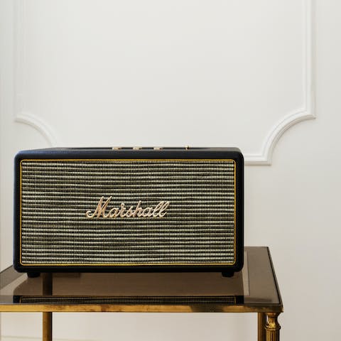 The Marshall speakers