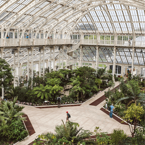 Stroll along the banks of the Thames for just over forty minutes to reach Kew Gardens