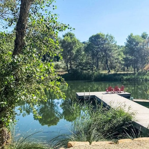 Stroll 150 metres through woodland for a dip in the lake