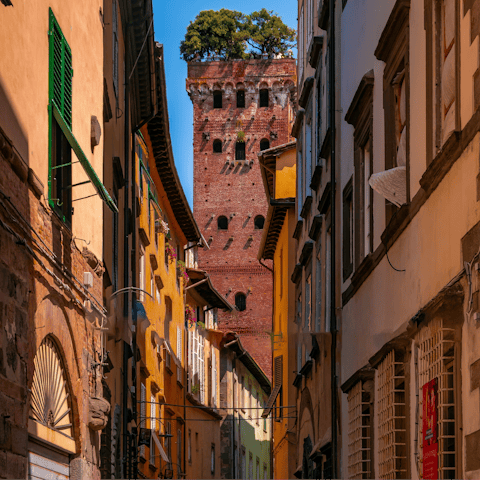 Wander the honeyed-streets of historic Lucca