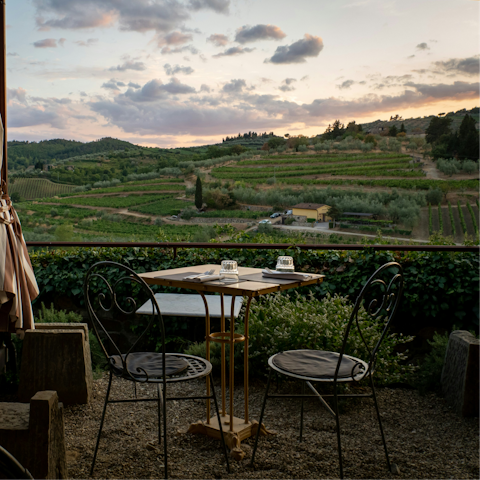 Visit a nearby winery for tastings with a view