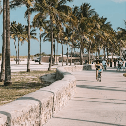 Hire bikes to explore Miami's iconic boardwalk