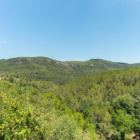 Head out and explore the surrounding mountainous region of Alt Penedès