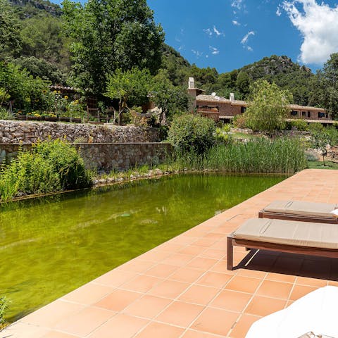 Cool off from the afternoon heat in the garden's natural pool