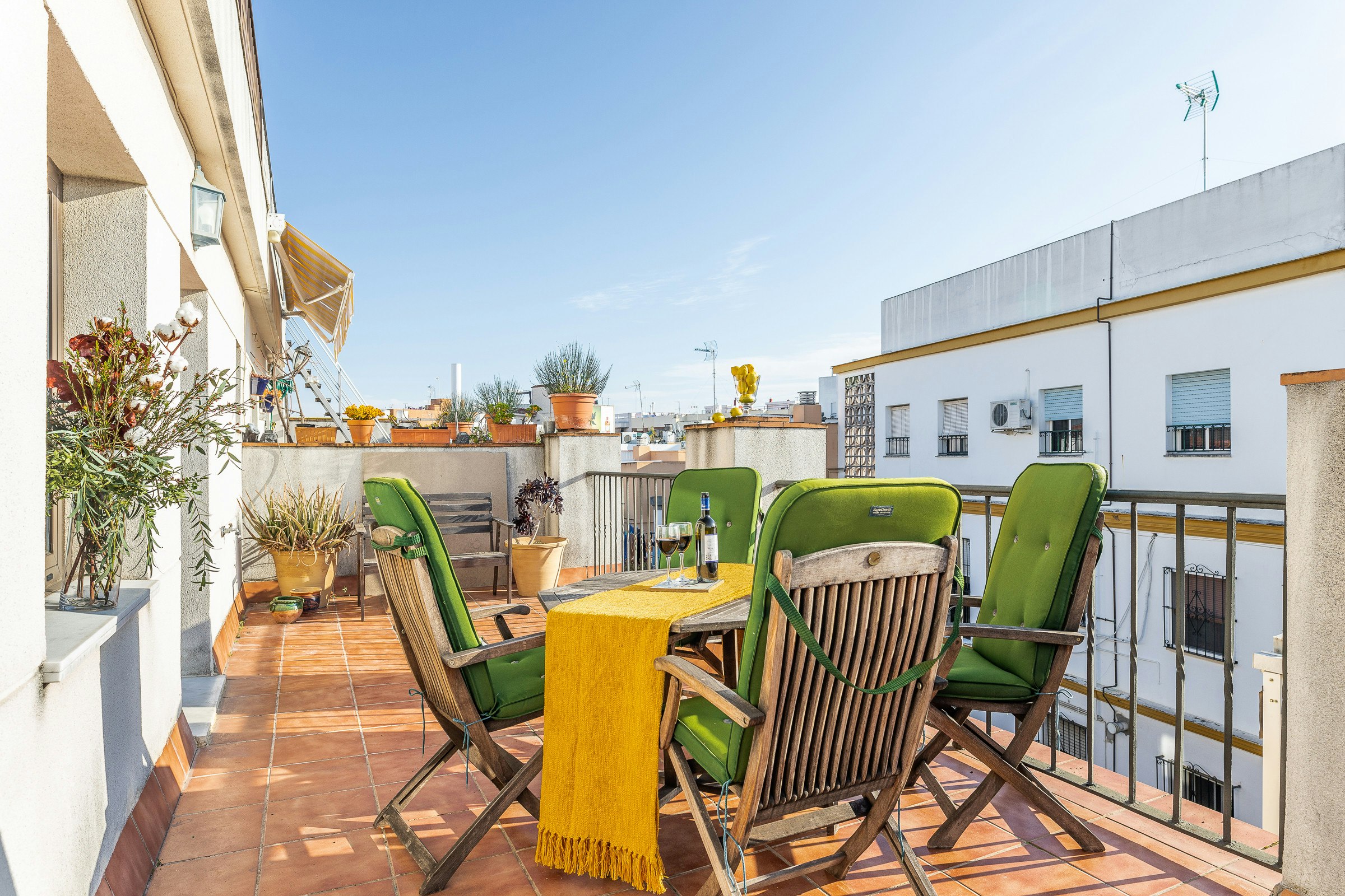 Terrace Siesta