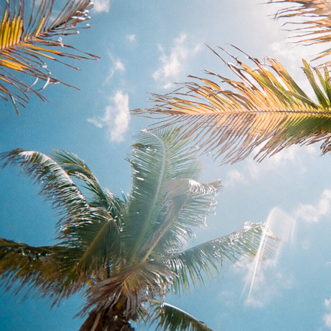 Experience the warmth and magic of Florida from the exclusive Solara resort
