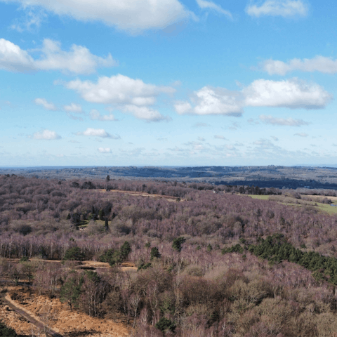 Follow hiking trails through the South Downs National Park