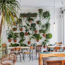 An Instagrammable brunch at Otto
