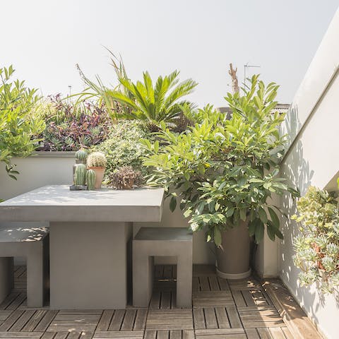 Catch the evening sun on the plant-filled terrace