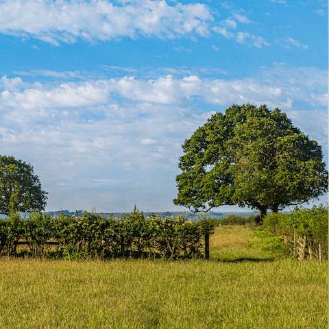 Set off from the vineyard for countryside walks and bike rides