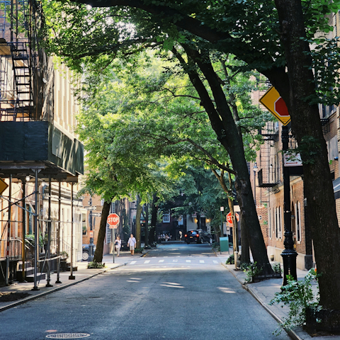 Experience the vibrant heart of New York from Greenwich Village