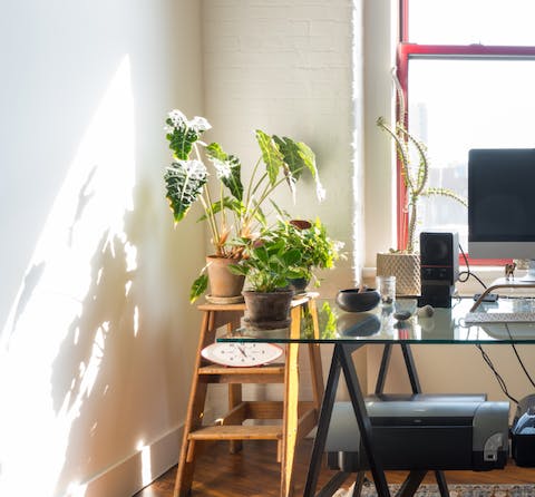 The home's plentiful foliage