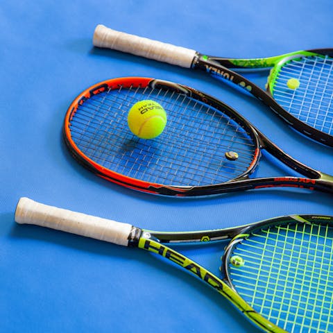 Play a few games on the owner's private tennis courts