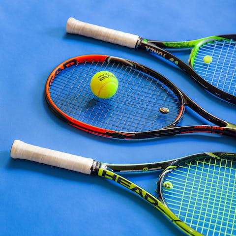 Play a few games on the owner's private tennis courts