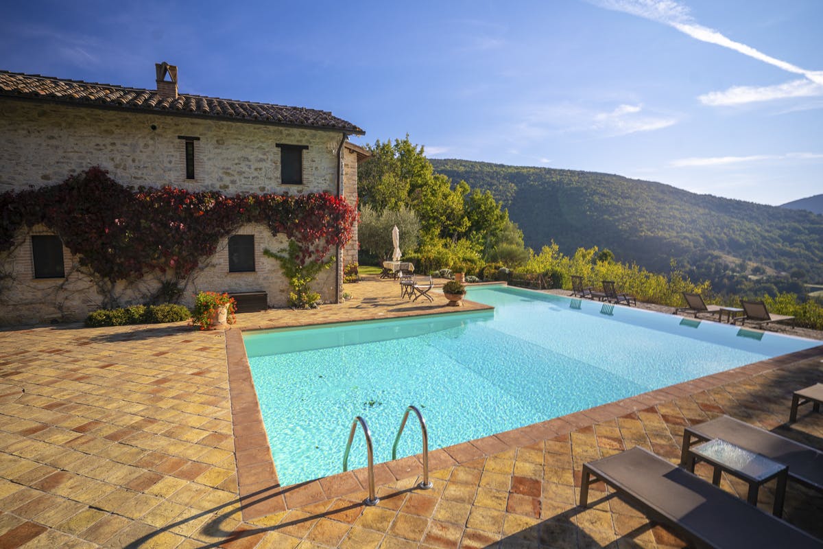 Entwined in Creeping Vines