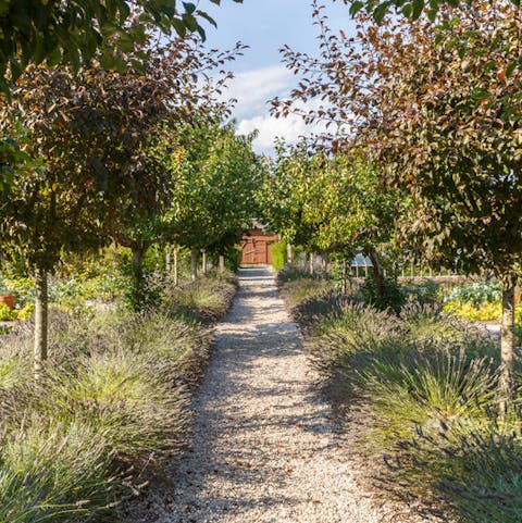 Wander the woodlands and quiet paths