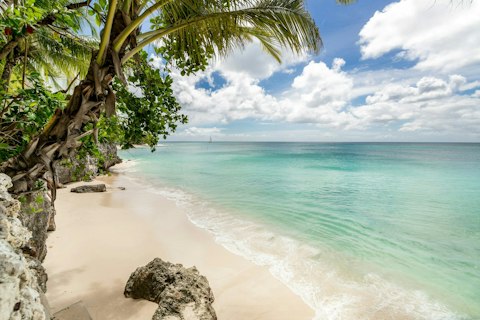 Climb down the steps and straight onto the white powdered sands of Batts Rock Beach