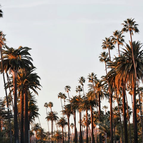 Head into the heart of Beverly Hills – a short drive away