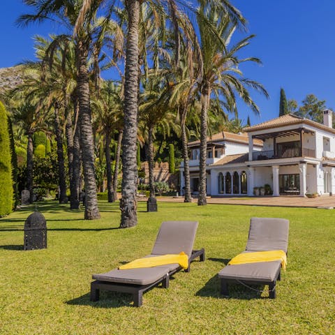 Soak up some sun on the massive lawn, cool glass of Sangria in hand, as the palms provide a rustling soundtrack