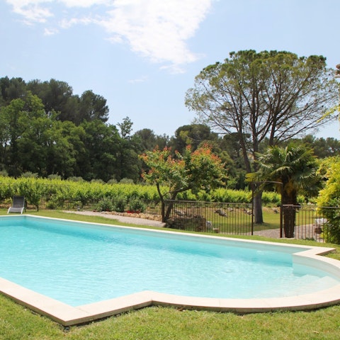 Savour sunshine and vineyard views from the pool