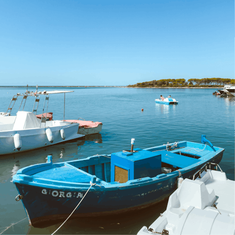 Drive out to charming coastal towns