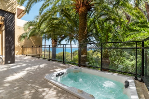 Soak in the hot tub beneath palm trees with sea views