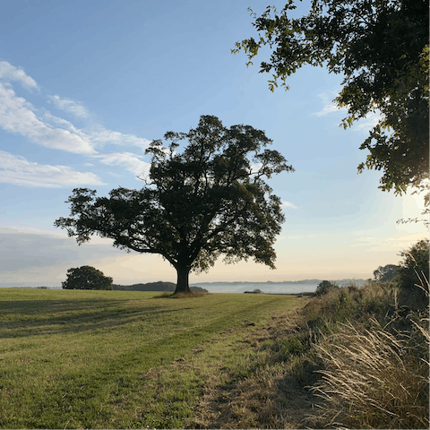 Explore the gorgeous countryside in the Shropshire Hills AONB, less than twenty minutes' drive away