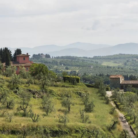 Enjoy countryside strolls when staying at this Tuscan estate
